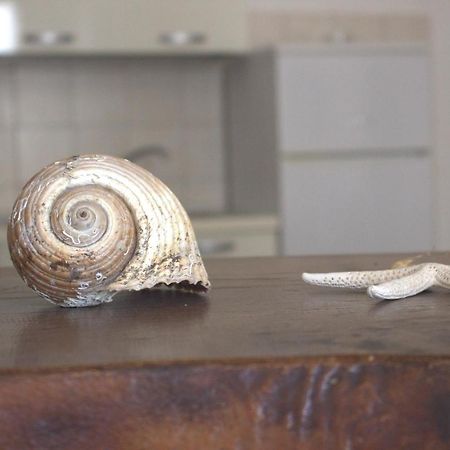 Lido Dei Miracoli Διαμέρισμα Lido Conchiglia Εξωτερικό φωτογραφία
